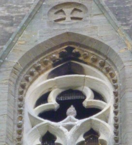 PH - waiting to fledge